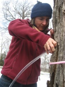 Dr. Amy Verhoeven checks on maple tree she tapped March 16, near Brady Hall, in preparation for today's lab.