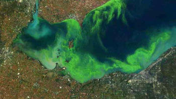 Algae Blooms in Lake Erie