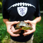 Senior biochemistry student Grant Schmura holds a painted turtle. (Photo by Mark Brown)