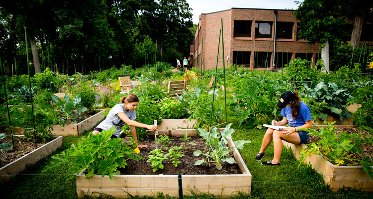 Since 2012, the 32 raised beds of the Stewardship Garden have produced more than 8,000 pounds of fresh produce. The bounty has been donated to Neighbors Inc., a local food shelf.
