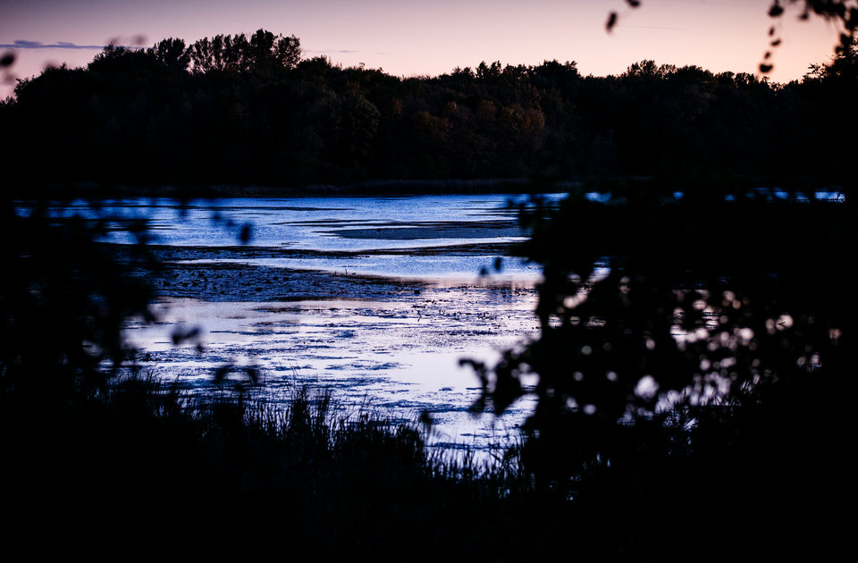 Lake Ellen, one of five lakes surrounding the vineyard, at sunset. According to Peterson, the large number of lakes in the area help regulate the temperature and make WineHaven an ideal place for grapes to survive an already short growing season in Minnesota.