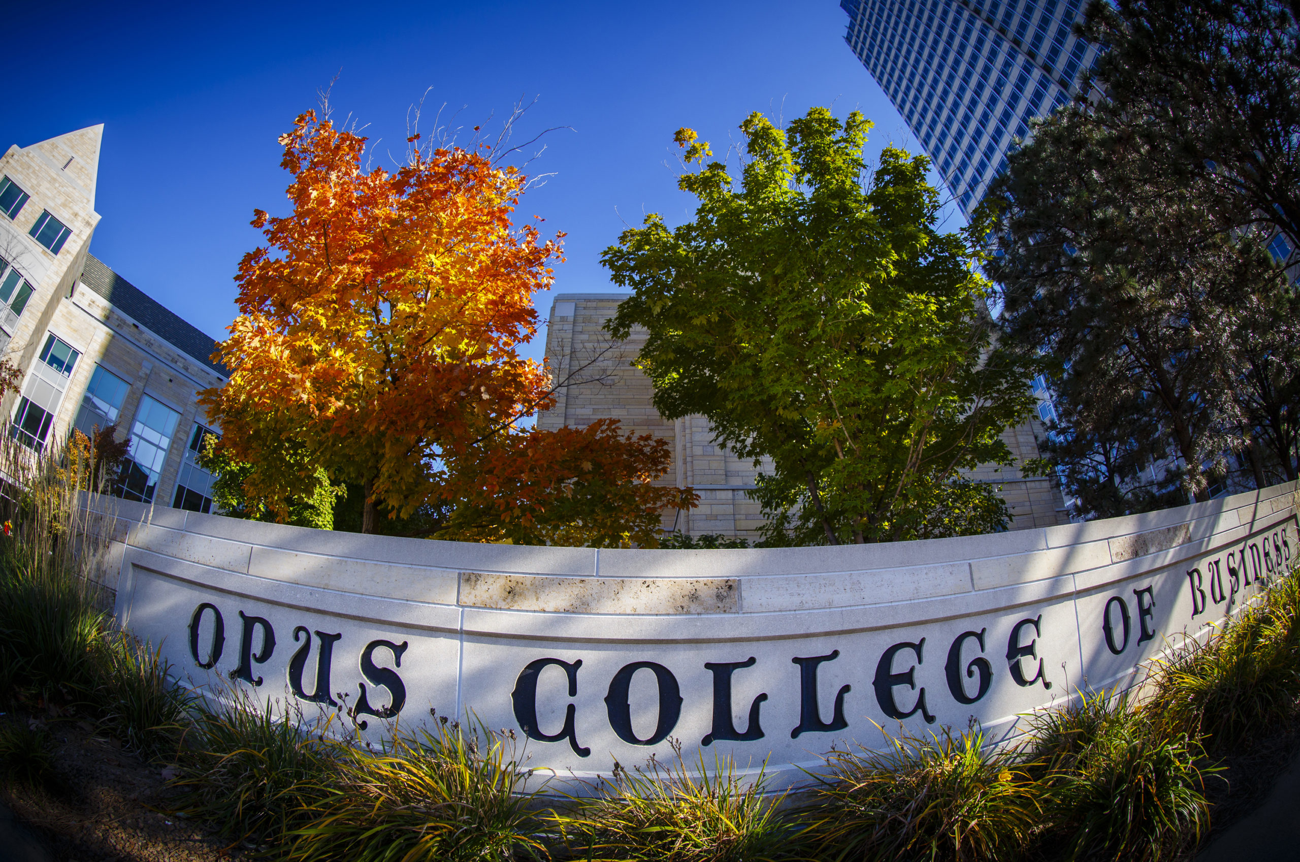 Schulze Hall and a tree with colorful leaves are pictured with the "Opus College of Business" sign and downtown skyscraper on a fall day in Minneapolis on October 10, 2014.