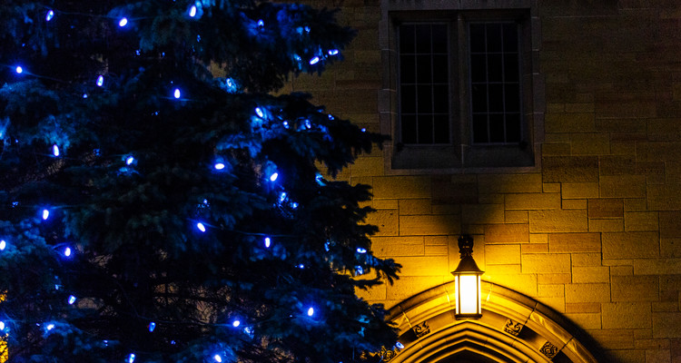 A tree with blue Christmas lights and the John R. Roach Center for the Liberal Arts on the St. Paul campus on the evening of December 5, 2014.