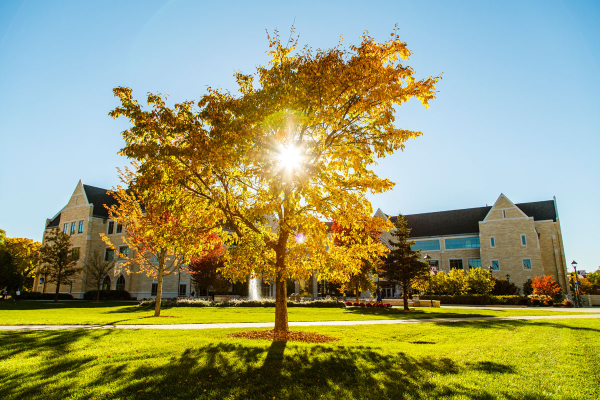 The Lower Quad in Fall.