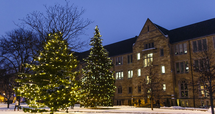 Christmas tree lighting 2015