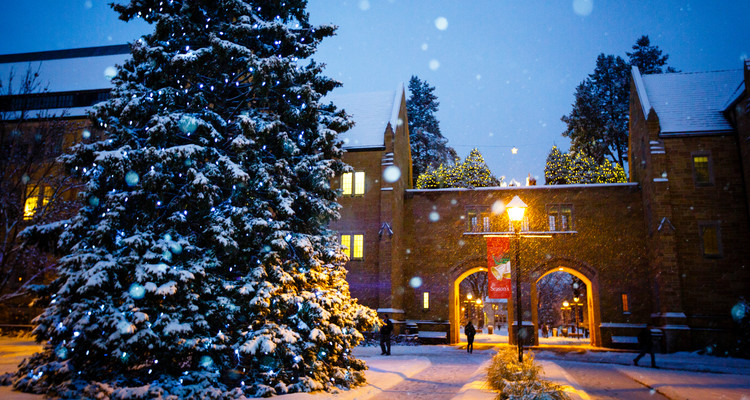 The Arches (with Creche on top) are seen behind falling snow and a glowing lamp with a Christmas banner December 4, 2013.