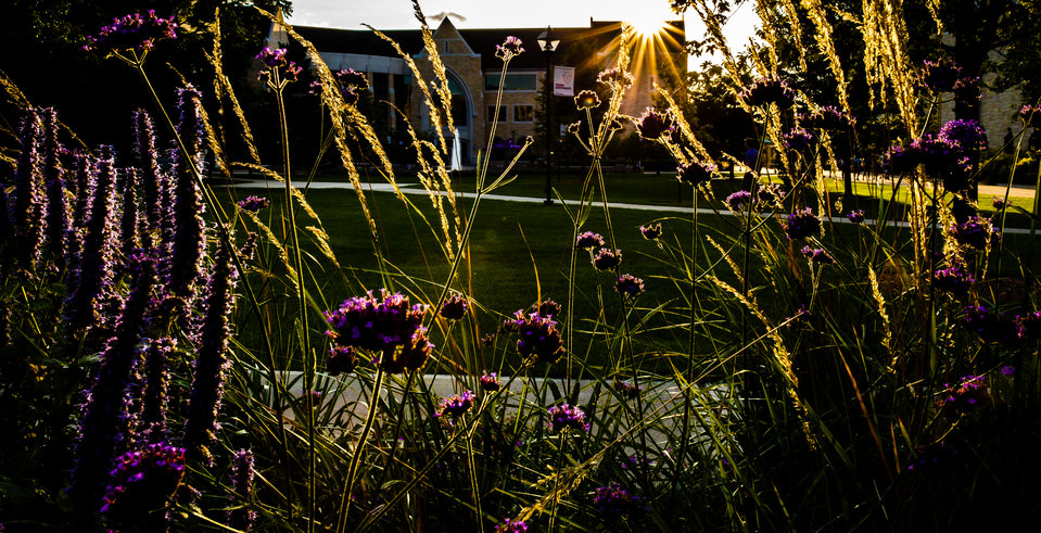 The Anderson Student Center is seen through purple and gold plants and a setting sun.