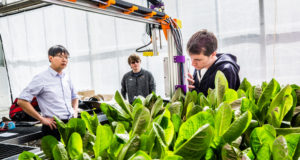 From left, Cheol-Hong Min, School of Engineering faculty, and Peter Farley and Andrew Ryan, both Engineering majors, work on the Farmbot, attached to an arm over a bed of lettuce in the Biology Department Greenhouse in Owens Science Hall, taken on March 16, 2017. The Farmbot is an automated farming robotic tool guided by GPS. The project is a collaboration of several St. Thomas academic departments, including the School of Engineering, Chemistry and Biology.