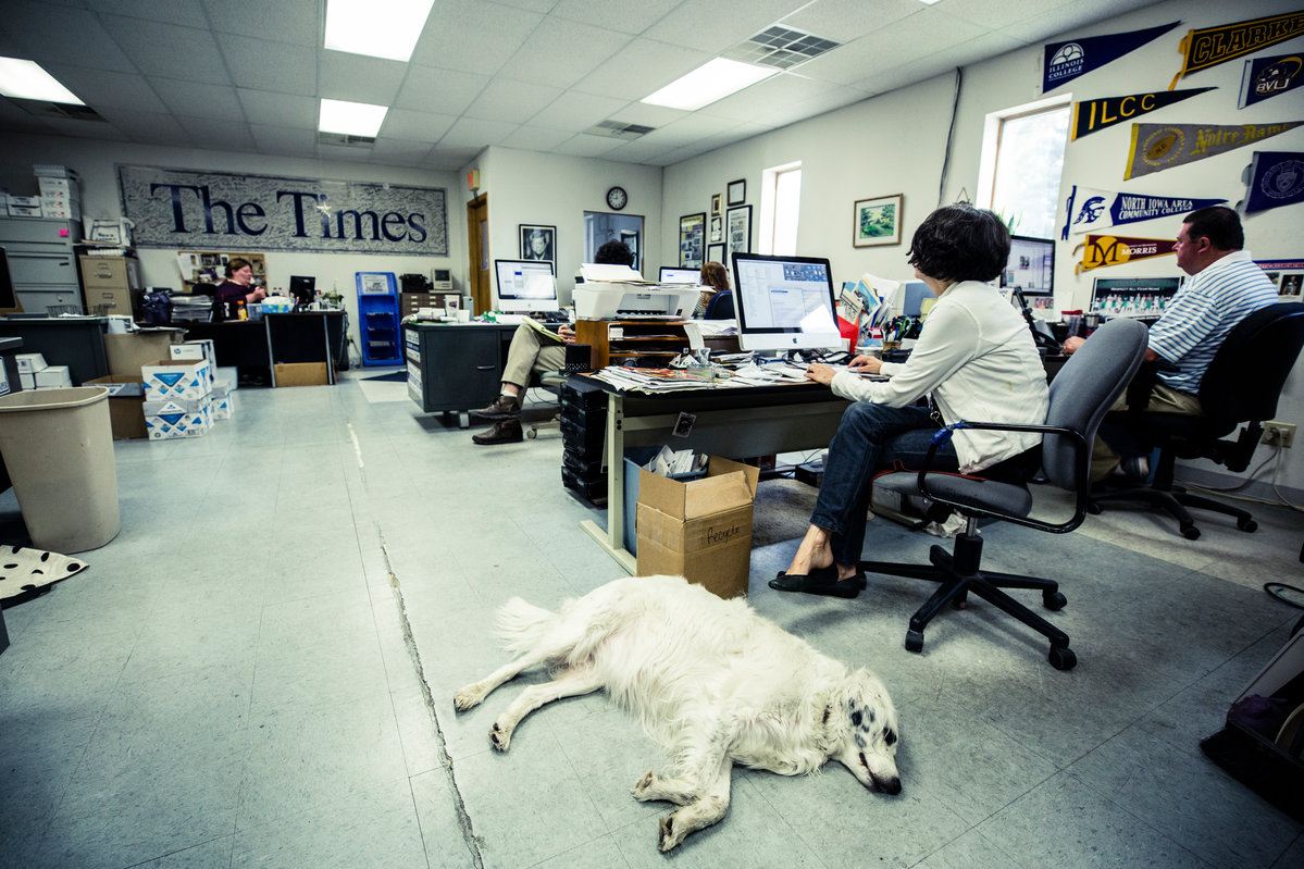 Mabel the news hound takes a break on the floor of the Storm Lake Times news room.