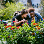 DFC students looks at flowers and insects in the Stewardship Garden during a Dougherty Family College Biology class on the St. Paul campus on September 28, 2017.