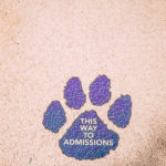 A Tommie Mascot paw print leads the way to the Admissions Office.
