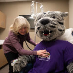 Tommie gets a checkup from Dr. Marilee Votel-Kvaal during the grand opening of the new Center for Well-Being. Mark Brown/University of St. Thomas