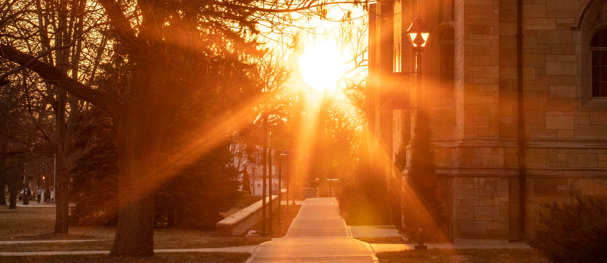 Golden hour sunlight streaks down a walkway next to the Anderson Student Center on the St. Paul campus on March 23, 2020. Most students were off campus and all classes moved online due to the coronavirus pandemic.