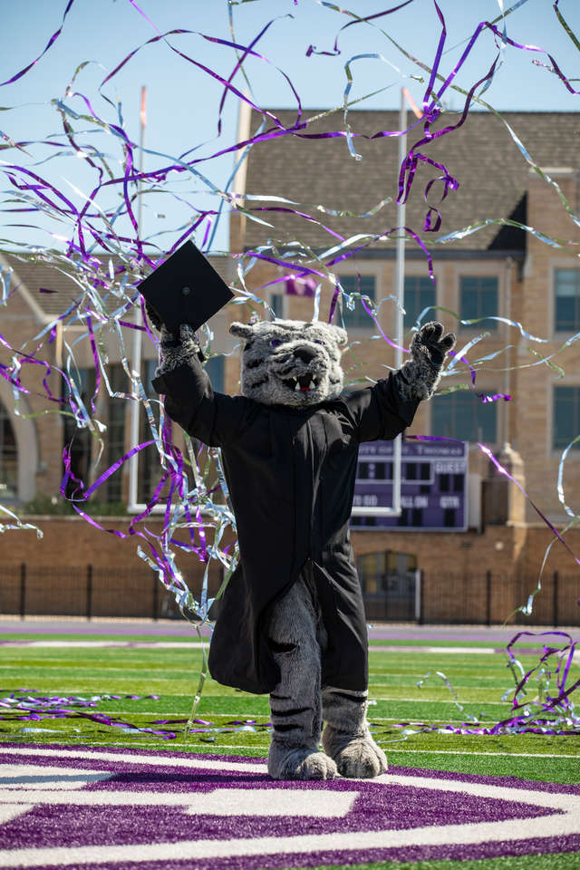 Photos of Tommie the Mascot wearing a commencement cap and gown and celebrating with confetti streamers in O’Shaughnessy Stadium on Palmer Field in St. Paul on May 20, 2020.