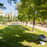 Second year law student Kumayl Lakha sits beneath a tree on the Minneapolis campus. Liam James Doyle/University of St. Thomas