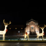 Holiday deer stand on the upper quad in front of Aquinas Chapel.