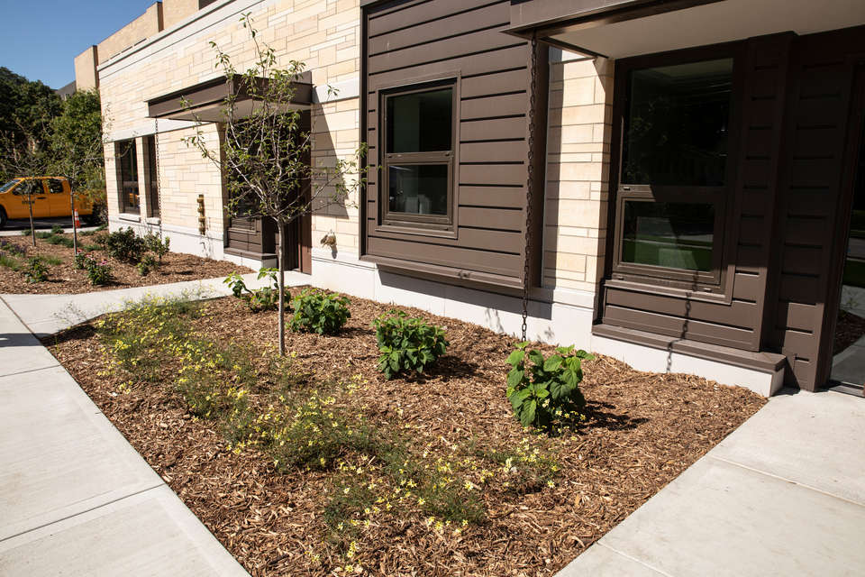 Perennial gardens outside the new Tommie East Residence Hall in St. Paul on August 11, 2020.