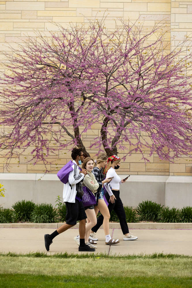 Students walk through campus during Tommie Fest. Mark Brown/University of St. Thomas