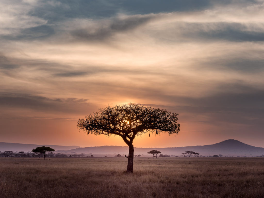 Photo of Africa
