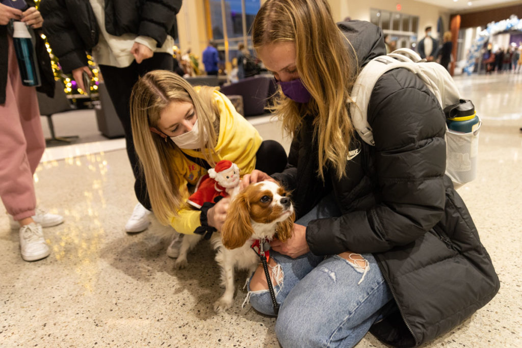Students pet Scooter the dog during the Holiday Tree Lighting ceremony.