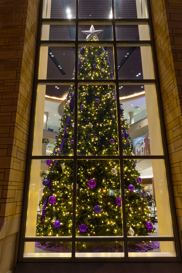 The Holiday Tree Lighting ceremony in the Anderson Student Center.