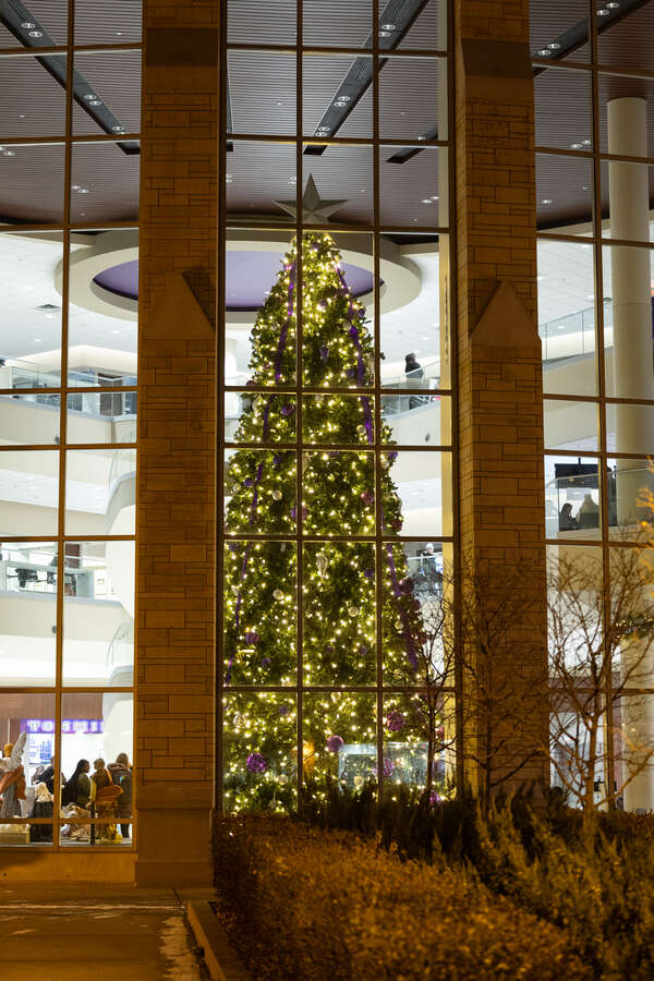 Exterior view of holiday tree.