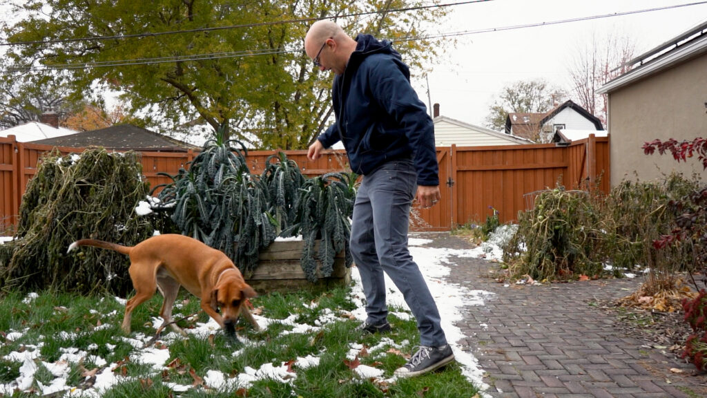 Professor John Abraham plays fetch with his dog in his backyard.