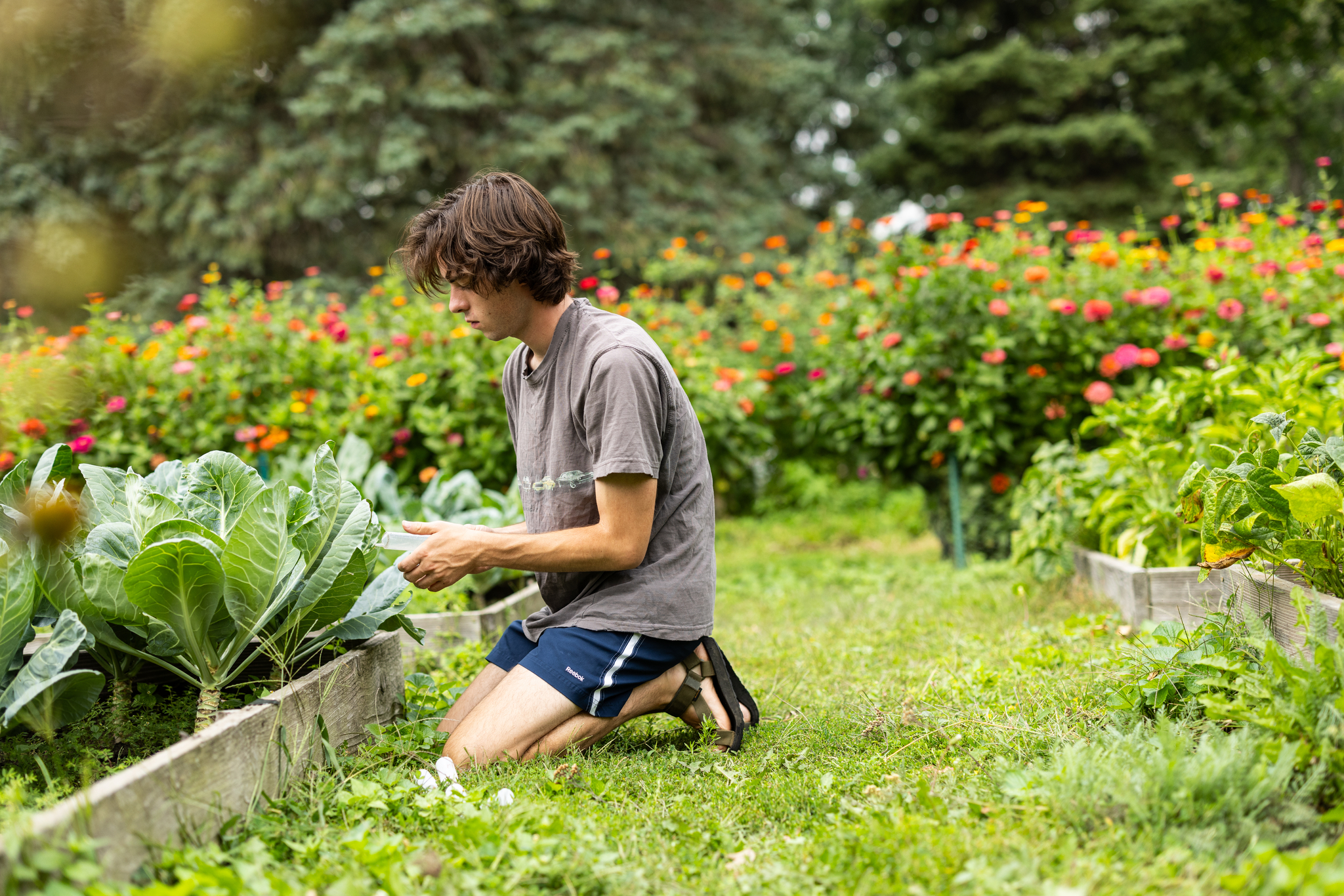 Students check nitrogen and phosphorus levels in raised garden beds in the Stewardship Garden as part of a multi-year research project led by Professor Chip Small.