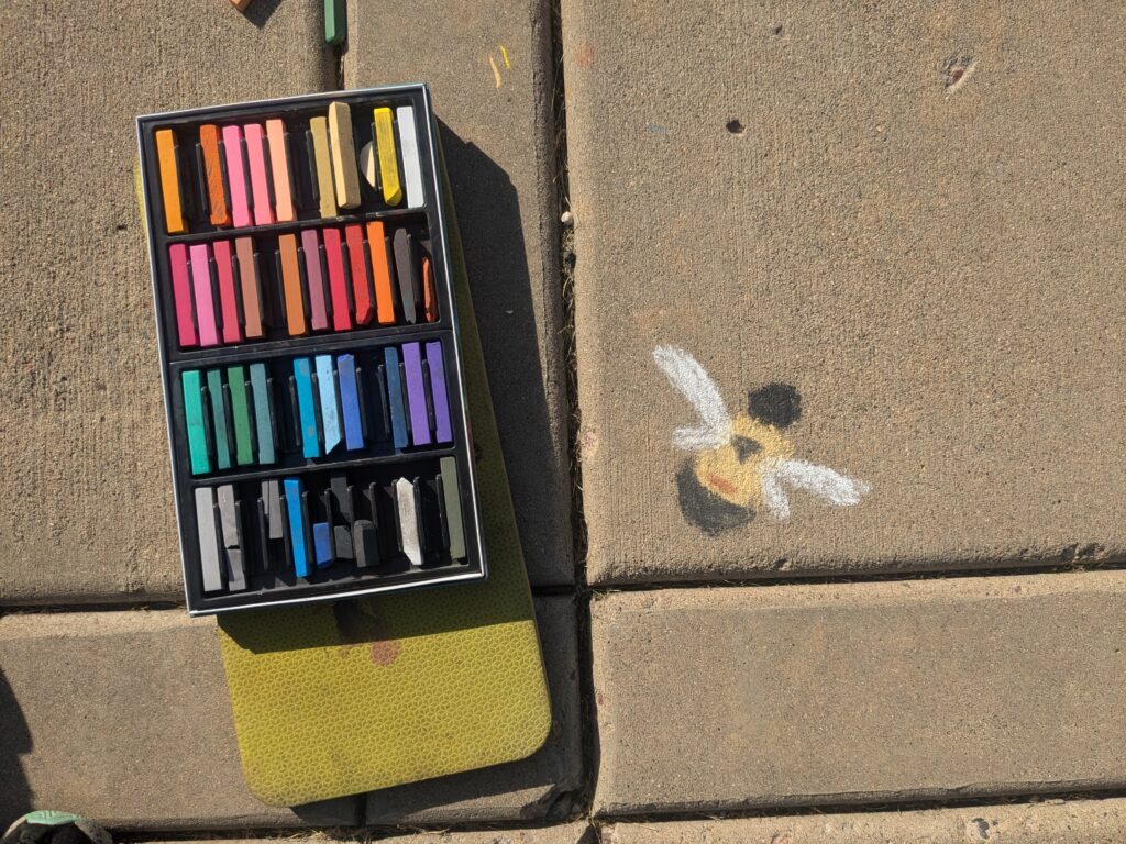 Image of chalk resting next to drawing of a bumblebee. 