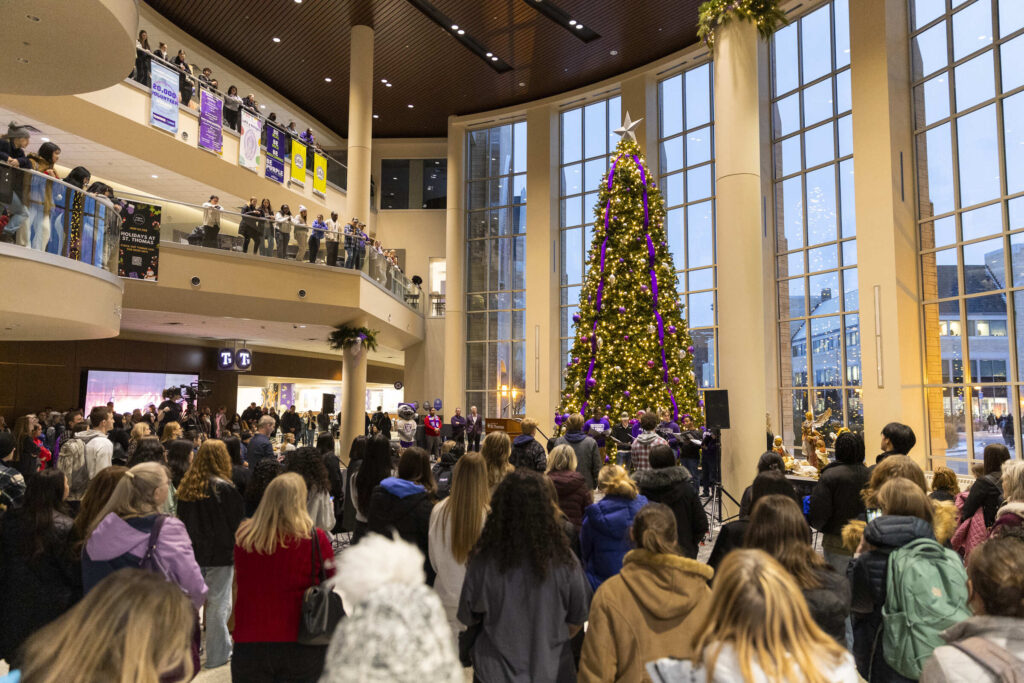 A crowd at the Christmas tree lighting ceremony.