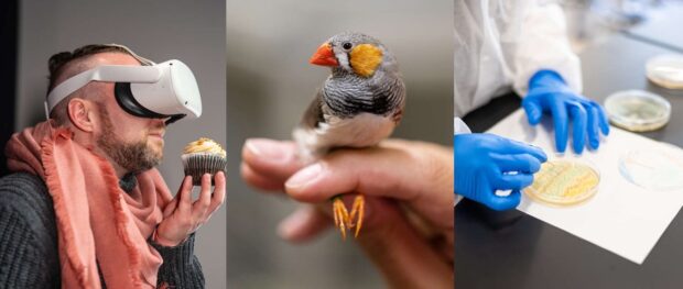Image of Seth Ketron wearing a virtual reality headset, a zerbra finch, and a petri dish with bacteria.