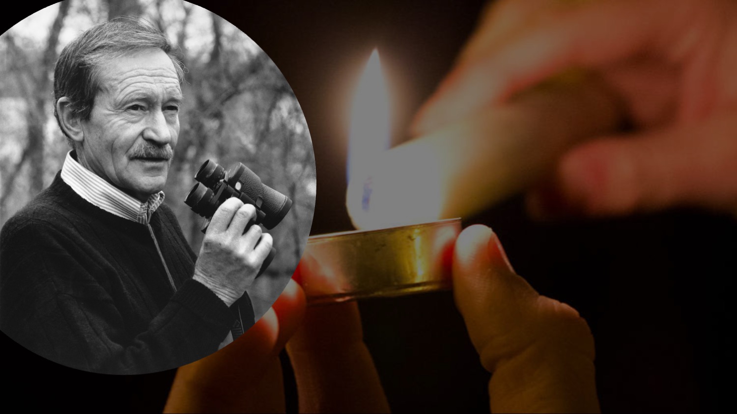 In Our Prayers_Meierotto