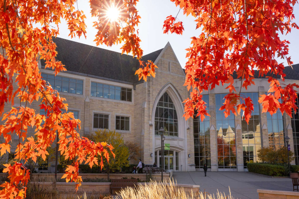 Fall colors under sunshine on a beautiful fall day on campus on October 29, 2025, in St. Paul.