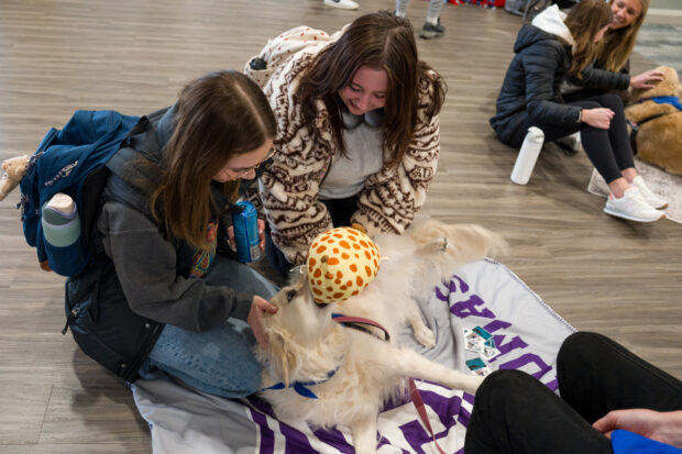 A dog is on a white University of St. Thomas maps with two students sitting next to the dog and smiling at it.