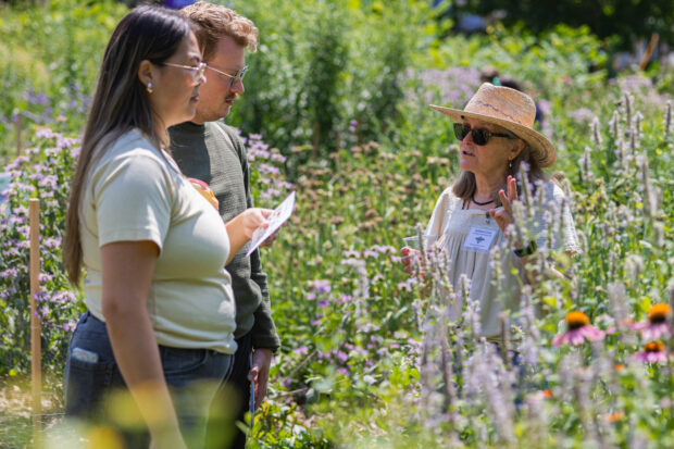Three people gather together in a garden.